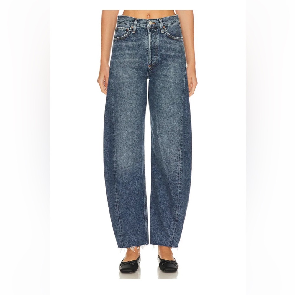 NWT Agolde Luna Pieced Wide Leg Jeans in Control, 28